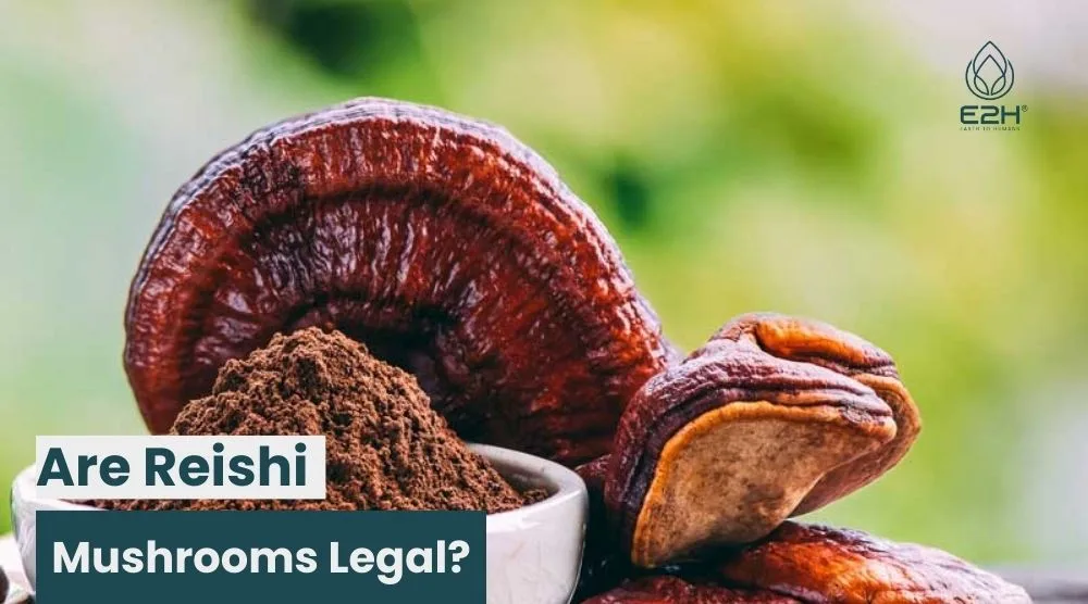 Are Reishi Mushrooms Legal