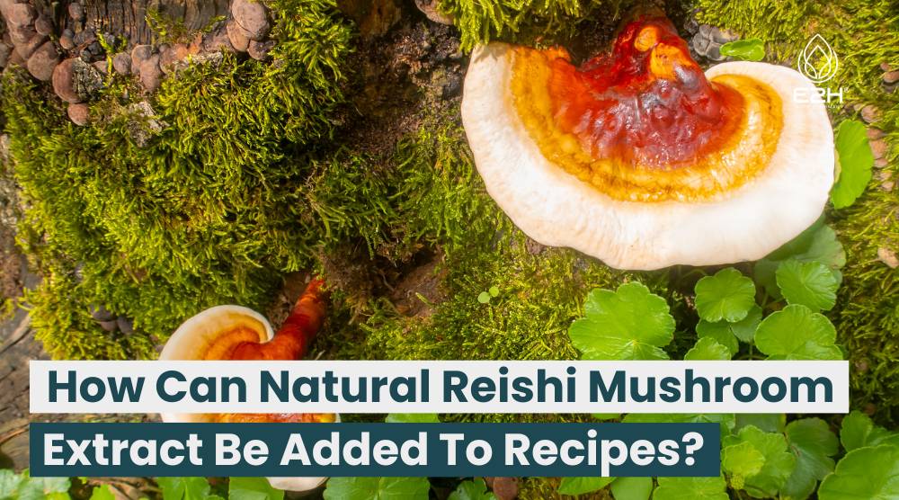 How Can Natural Reishi Mushroom Extract Be Added To Recipes?