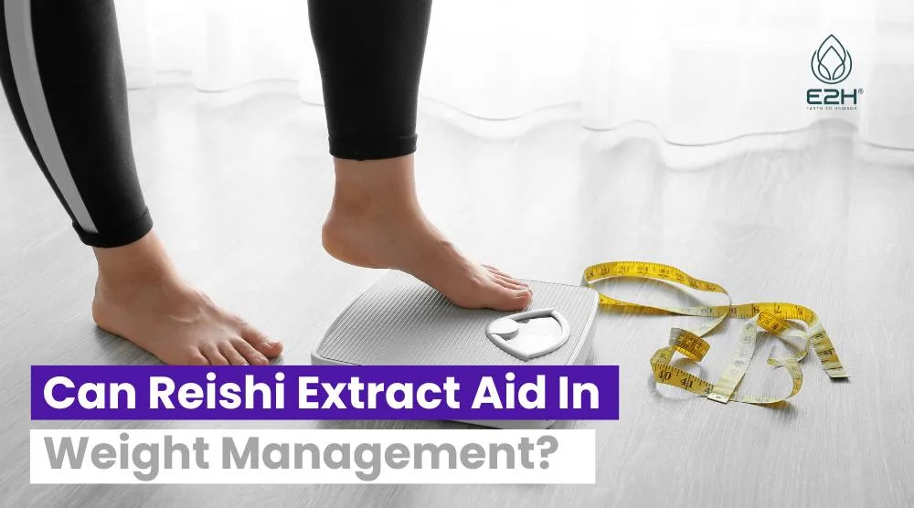 Can Reishi Extract Aid In Weight Management?