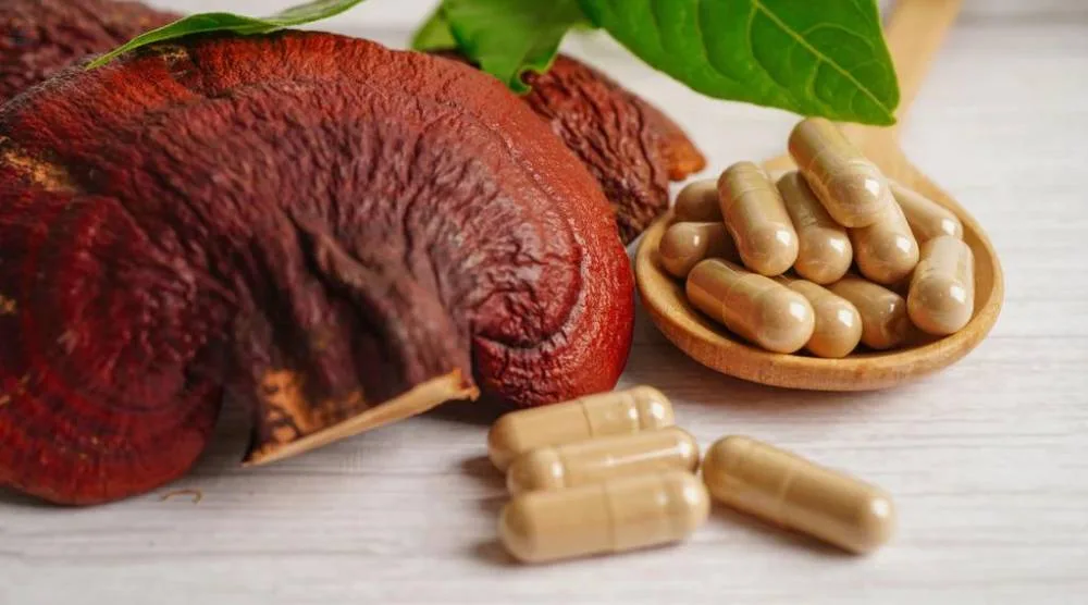 Do Reishi Mushrooms Make You High