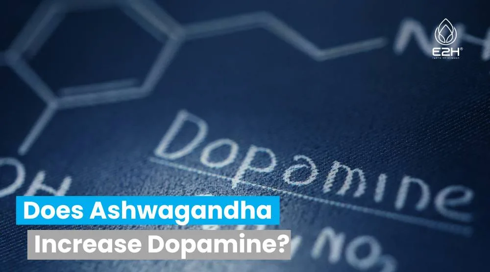 Does Ashwagandha Increase Dopamine?