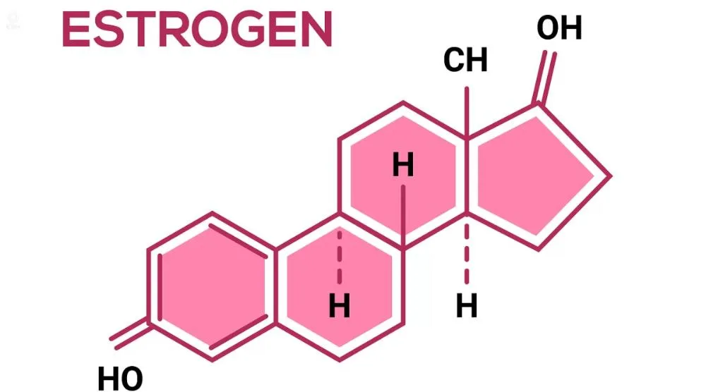 Does Reishi Mushroom Increase Estrogen