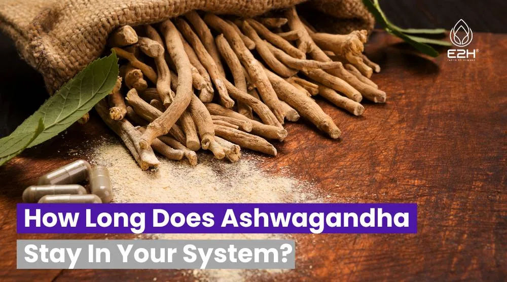 How Long Does Ashwagandha Stay In Your System