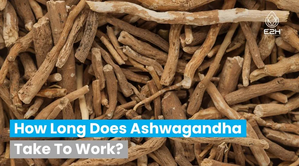 How Long Does Ashwagandha Take To Work