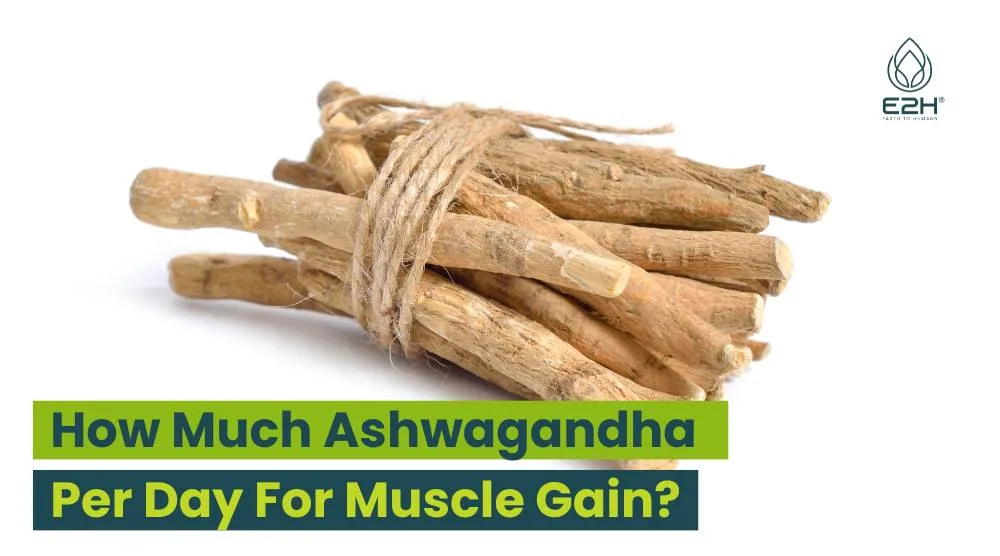 How Much Ashwagandha Per Day For Muscle Gain