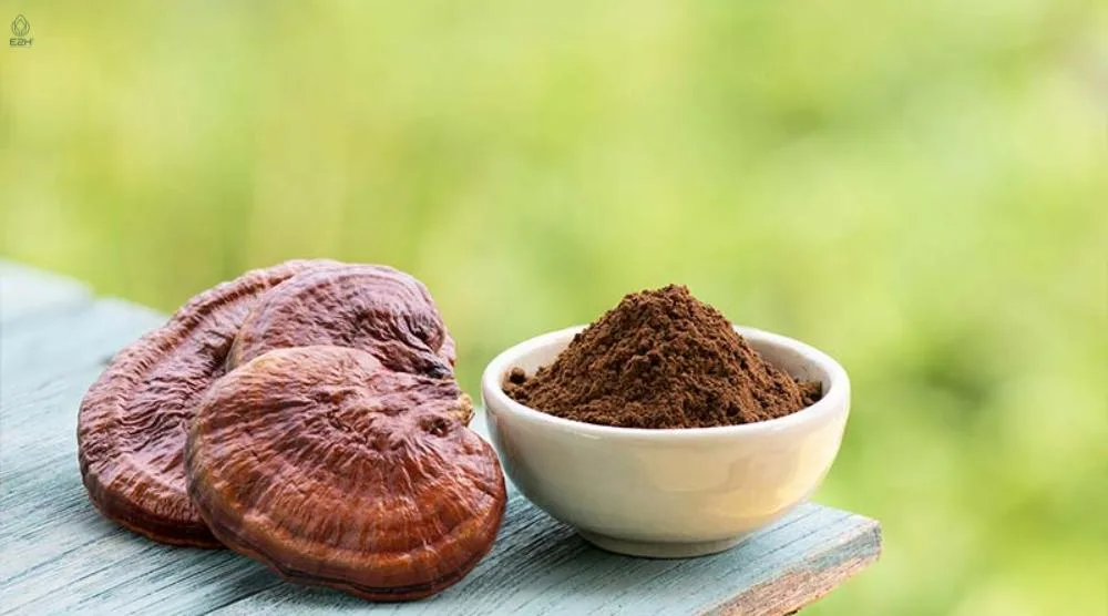 How Much Reishi Extract For Euphoria