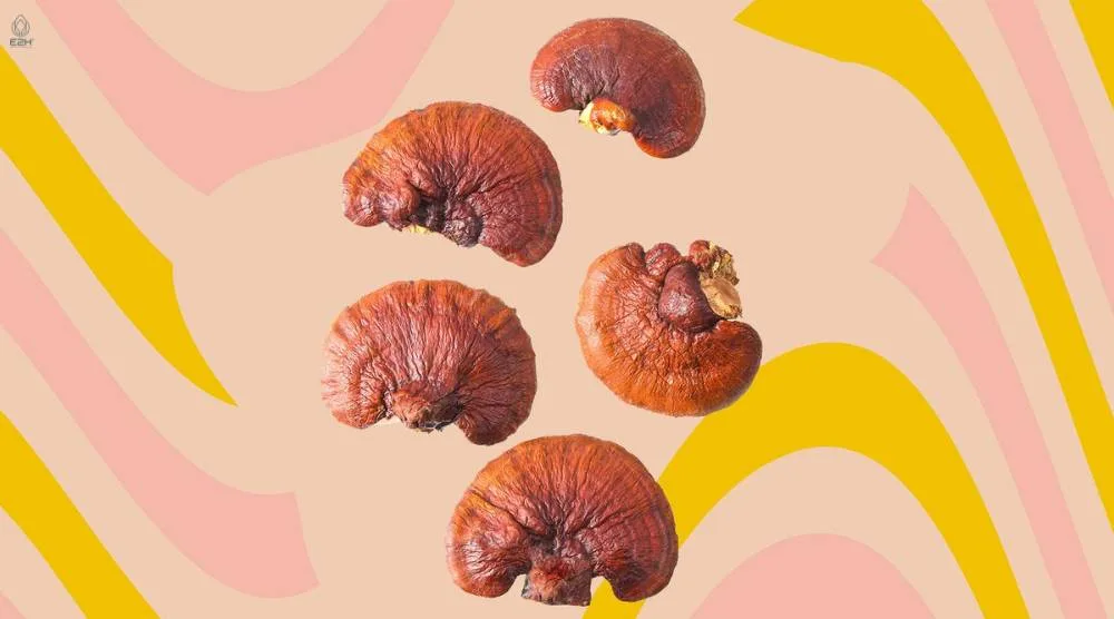 Is Reishi Extract Suitable For Children