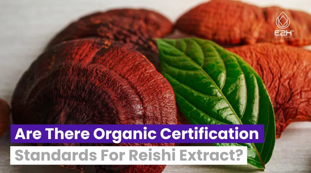 Are There Organic Certification Standards For Reishi Extract?