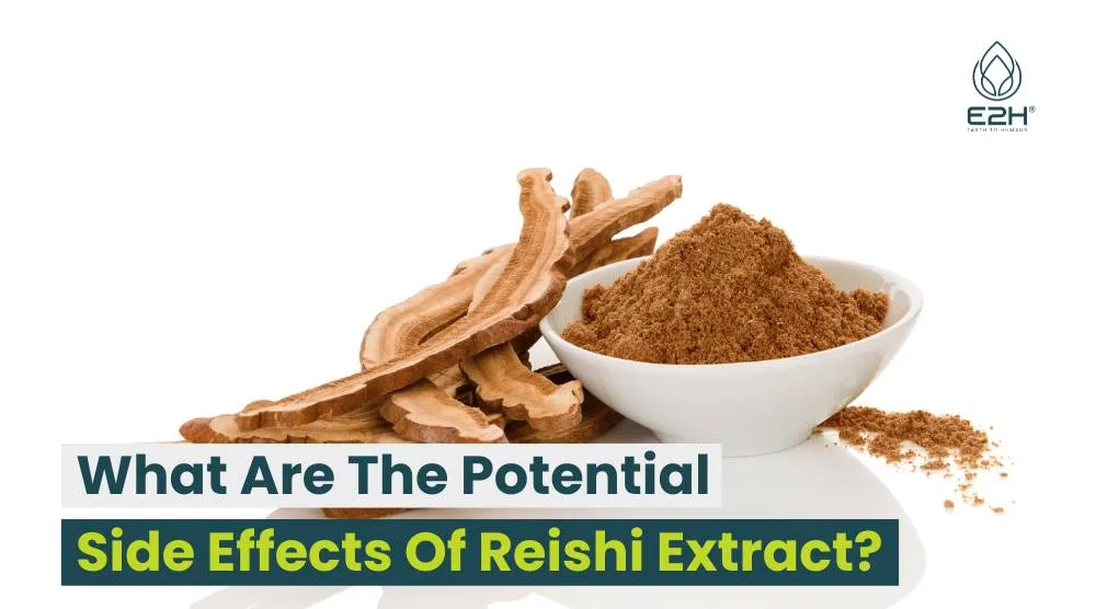 Potential Side Effects Of Reishi Extract