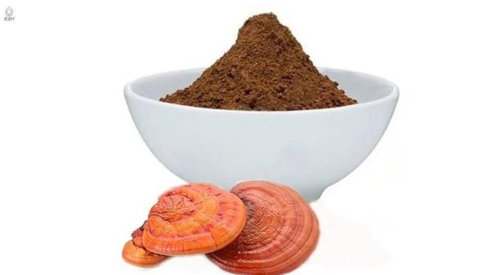 What Are The Active Compounds In Reishi Extract