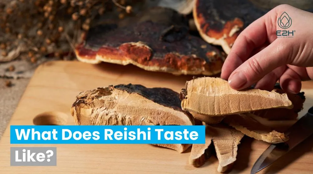 What Does Reishi Taste Like?