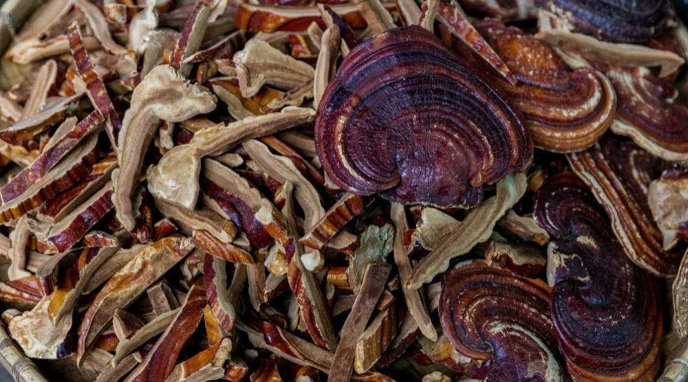 What Does Reishi Taste Like