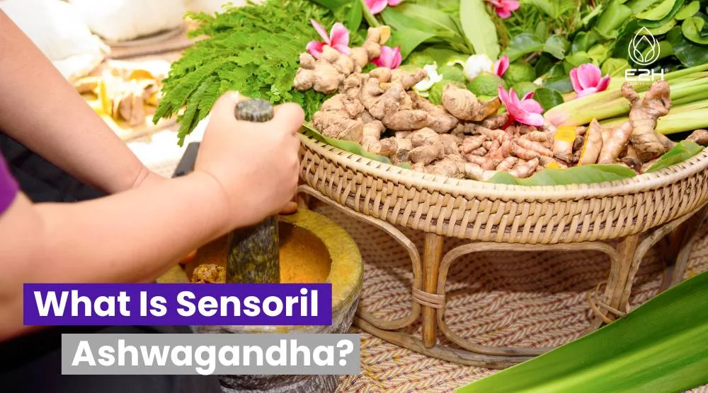 What Is Sensoril Ashwagandha?