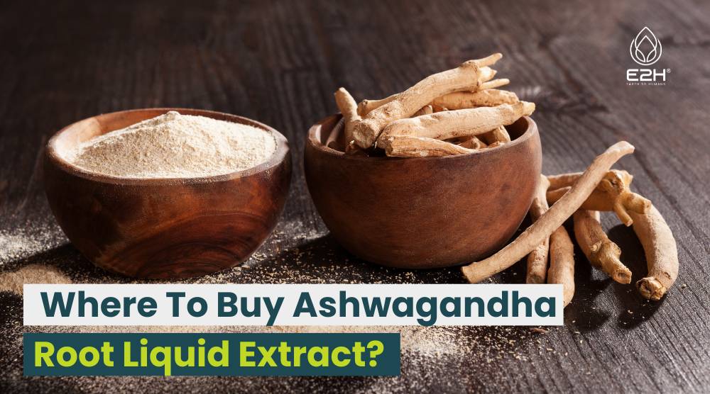 Where To Buy Ashwagandha Root Liquid Extract?