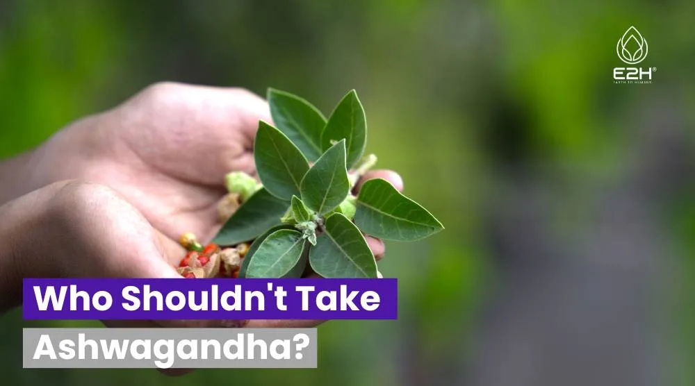 Who Shouldn't Take Ashwagandha