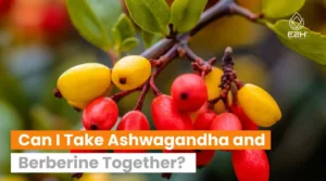 Can I Take Ashwagandha and Berberine Together
