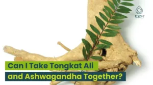 Can I Take Tongkat Ali and Ashwagandha Together