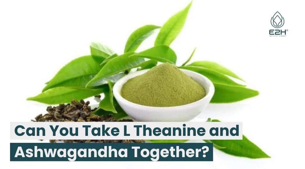 Can You Take L Theanine and Ashwagandha Together