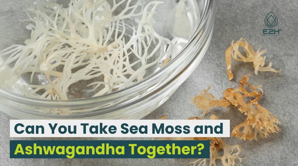 Can You Take Sea Moss and Ashwagandha Together