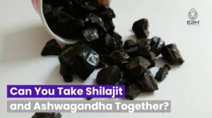 Can You Take Shilajit and Ashwagandha Together