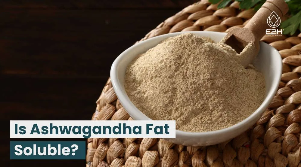 Is Ashwagandha Fat Soluble