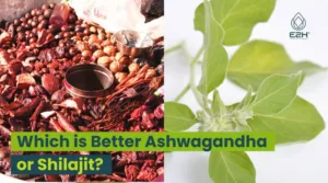 Which Is Better Ashwagandha Or Shilajit